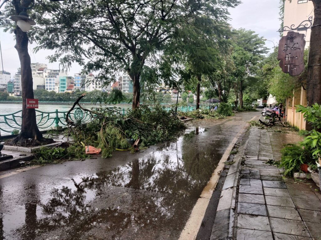 Rue bordant le lac Hồ Tây après le passage du typhon Yagi, et d'un premier coup de nettoyage